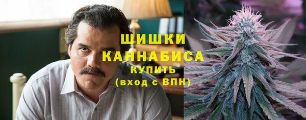 дживик Пересвет