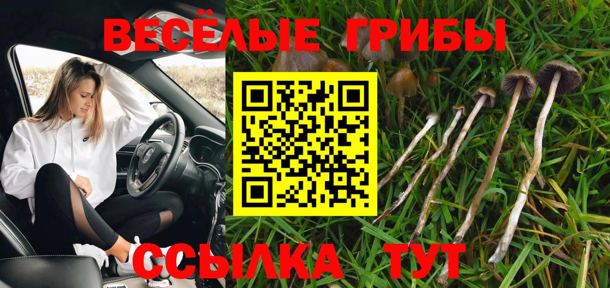Галлюциногенные грибы Psilocybine cubensis  Псилоцибиновые грибы ЛСД  Алушта  Вход с VPN 